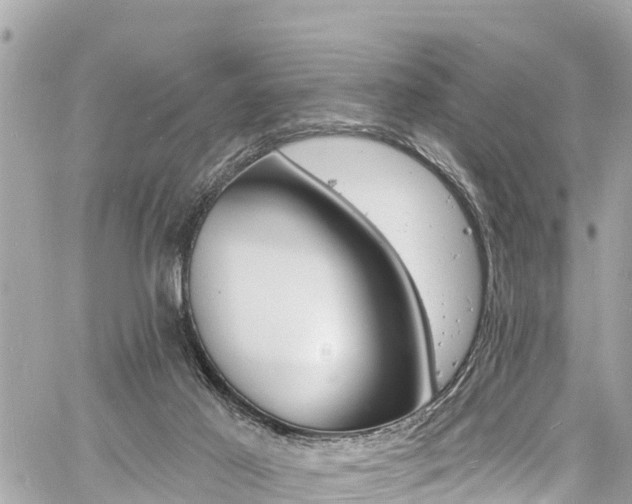 X0000060810021200511141518