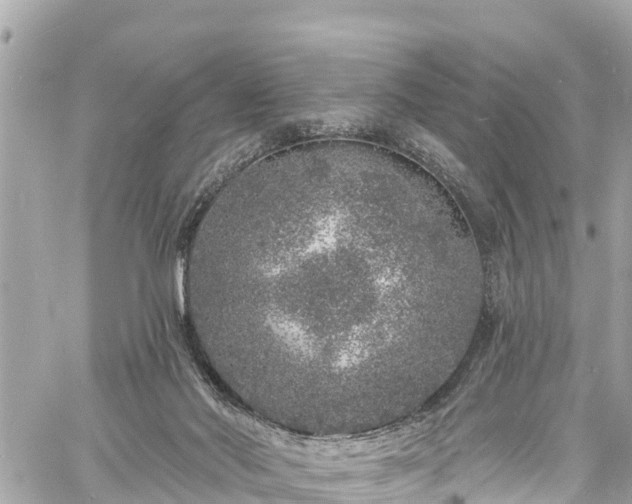 X0000060810022200511141518