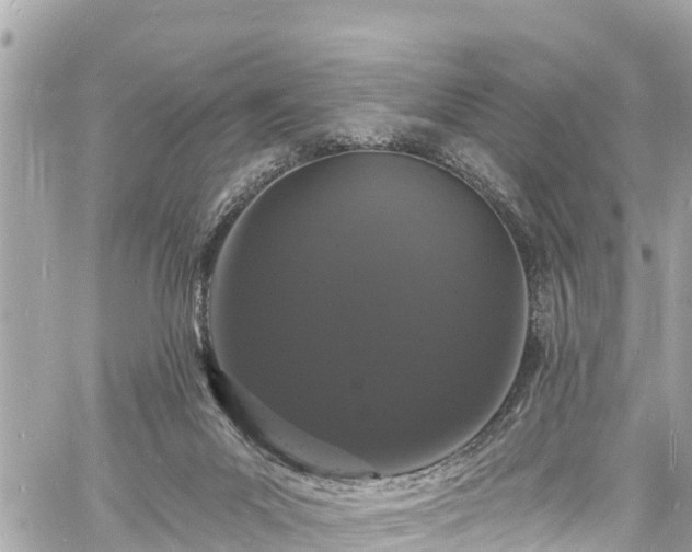 X0000060810023200511141518