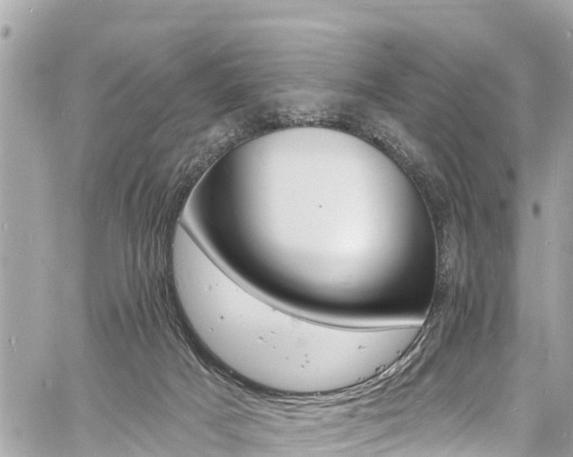 X0000060810025200511141518