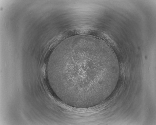 X0000060810026200511141518