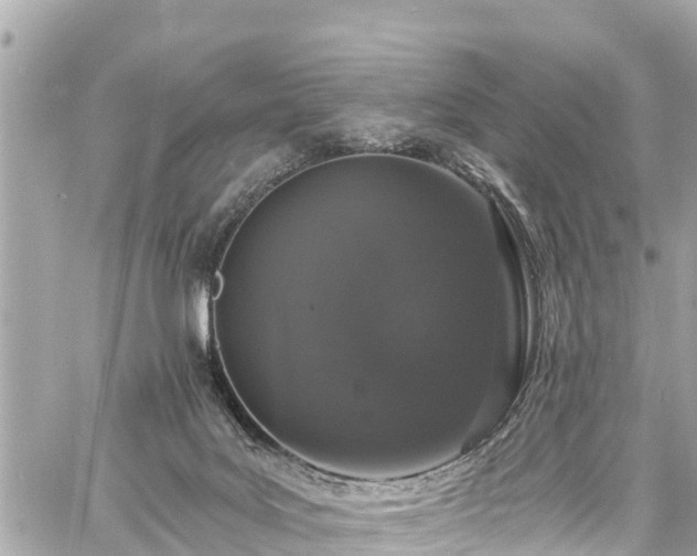 X0000060810027200511141518