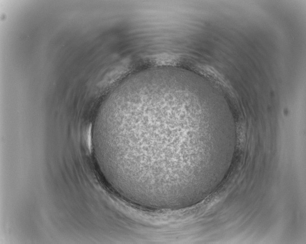 X0000060810028200511141518