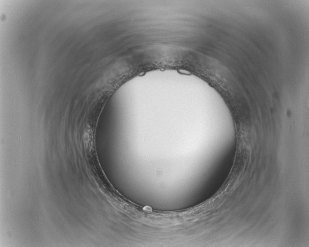 X0000060810029200511141518