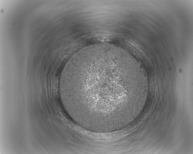 X0000060810030200511141518