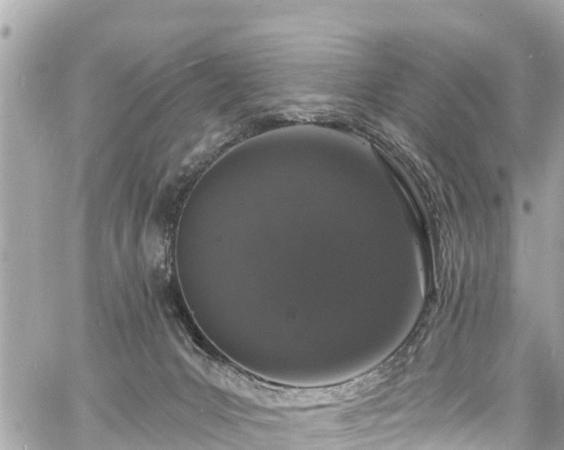 X0000060810031200511141518