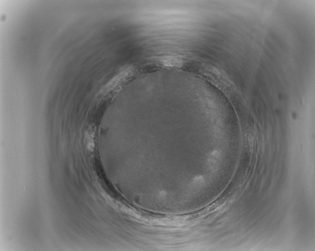 X0000060810032200511141518