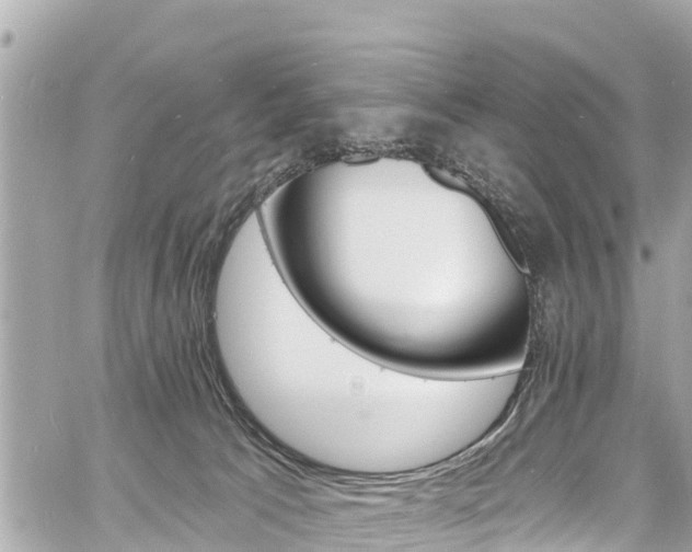 X0000060810033200511141518