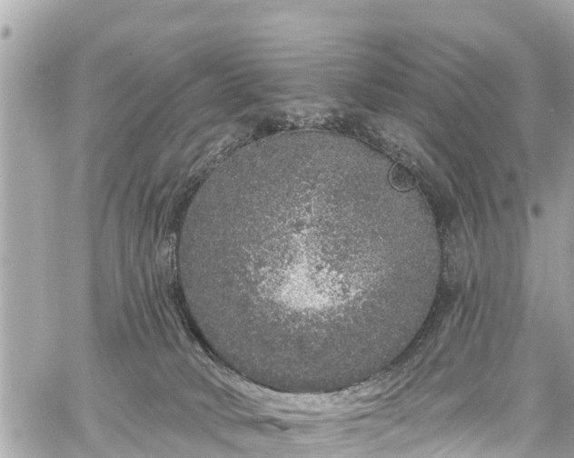 X0000060810034200511141518