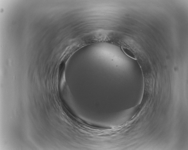 X0000060810035200511141518