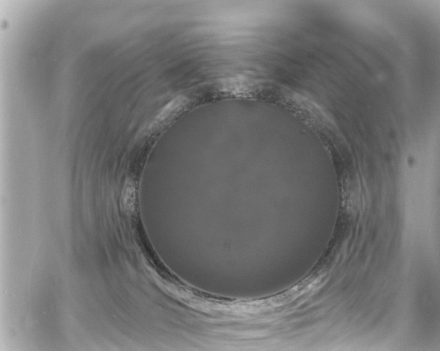 X0000060810036200511141518