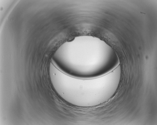 X0000060810037200511141518