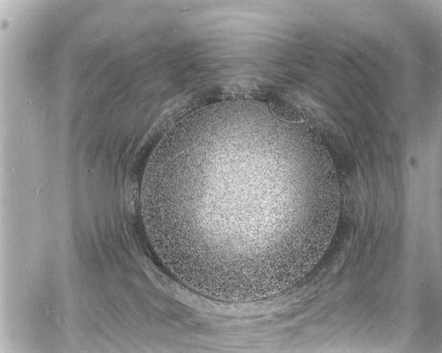 X0000060810038200511141518