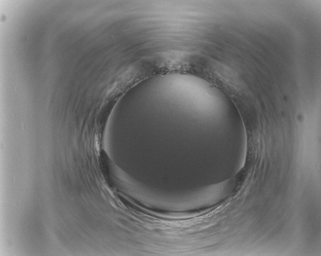 X0000060810039200511141518