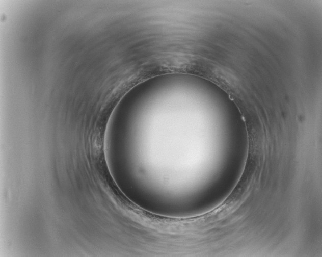 X0000060810040200511141518