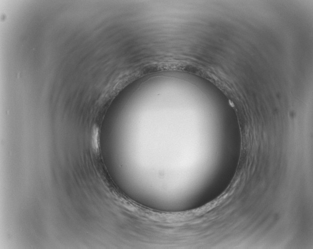 X0000060810041200511141518