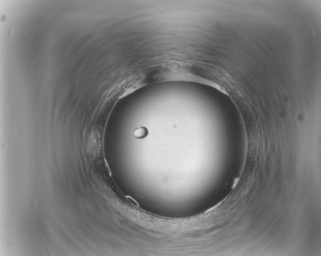 X0000060810043200511141518