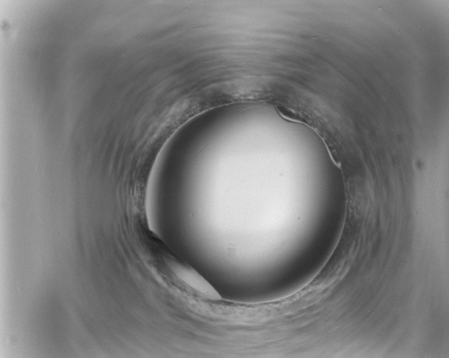 X0000060810044200511141518