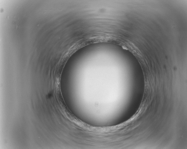 X0000060810045200511141518