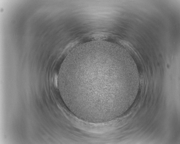 X0000060810046200511141518