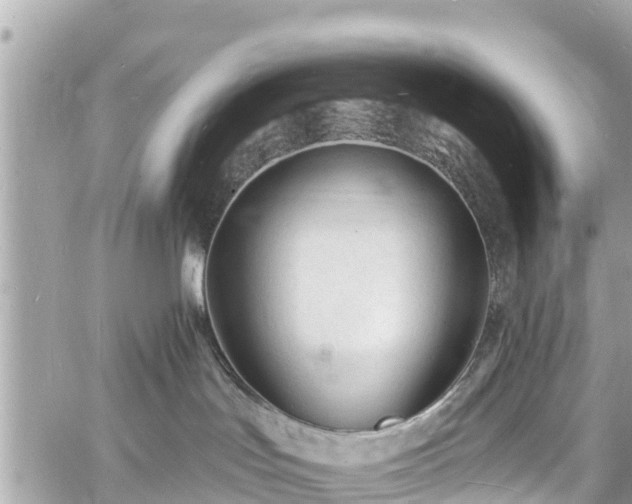 X0000060810047200511141518