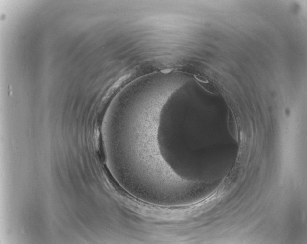 X0000060810048200511141518