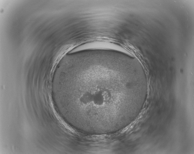 X0000060810049200511141517