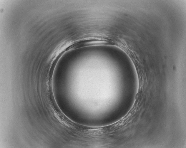 X0000060810050200511141517