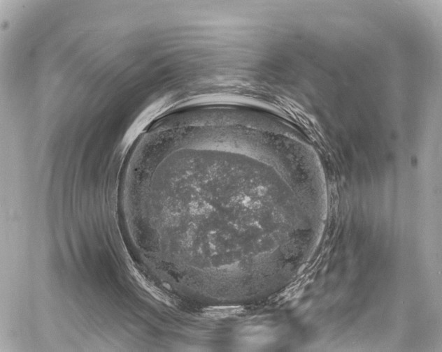 X0000060810051200511141517