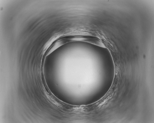 X0000060810052200511141517