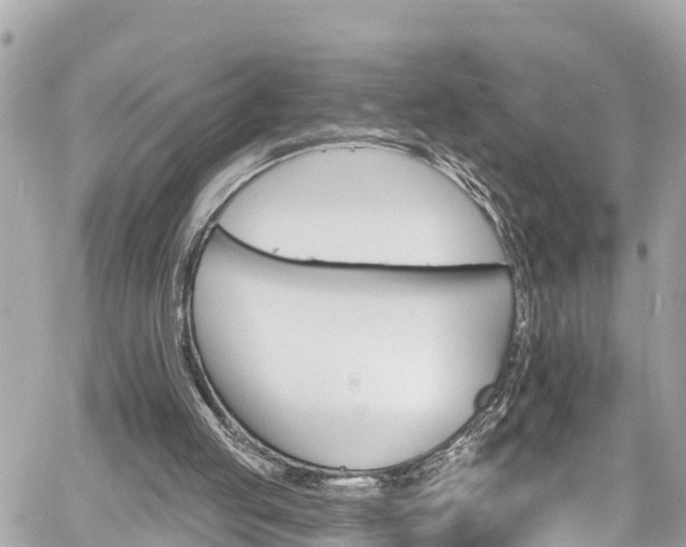 X0000060810053200511141517