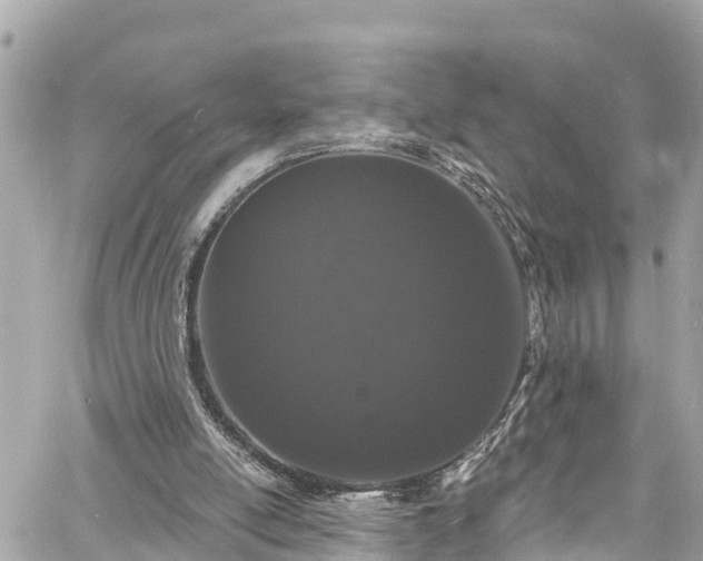 X0000060810054200511141517