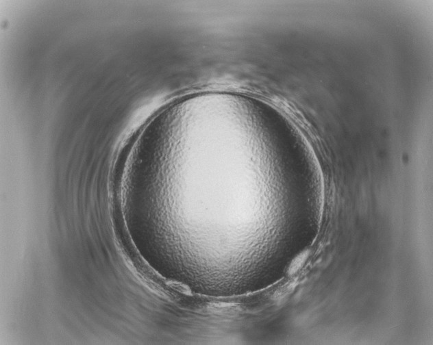 X0000060810055200511141517