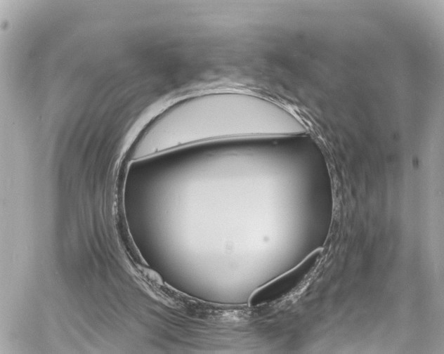 X0000060810056200511141517