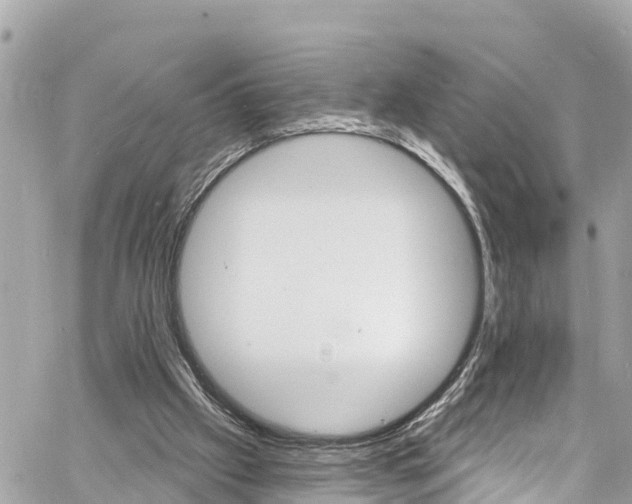 X0000060810057200511141517