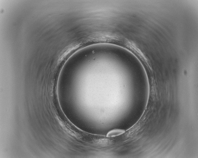 X0000060810058200511141517