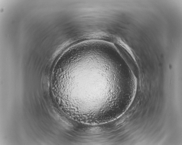 X0000060810059200511141517