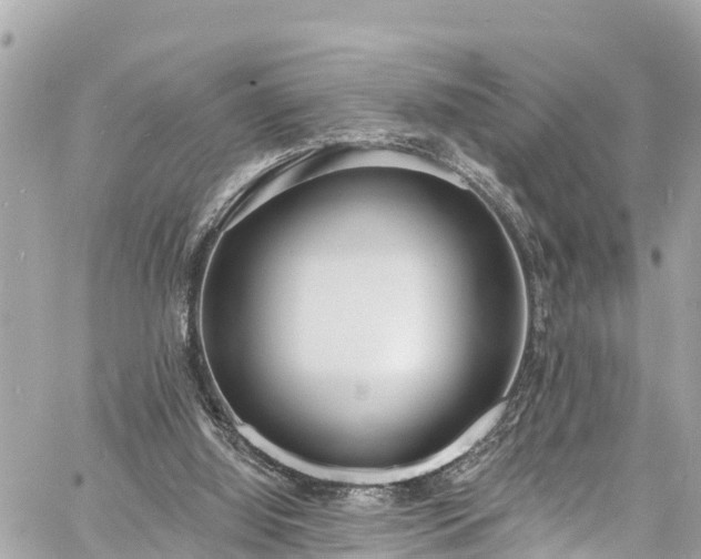 X0000060810060200511141517