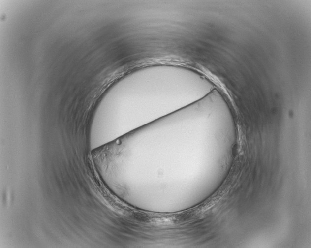 X0000060810061200511141517