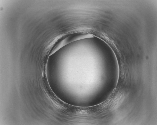 X0000060810062200511141517