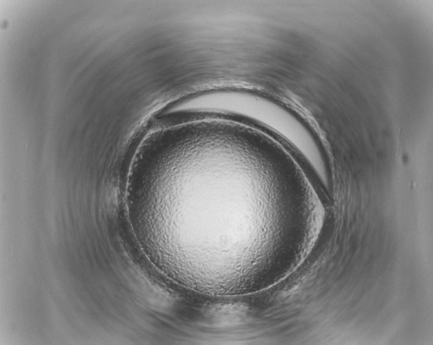 X0000060810063200511141517