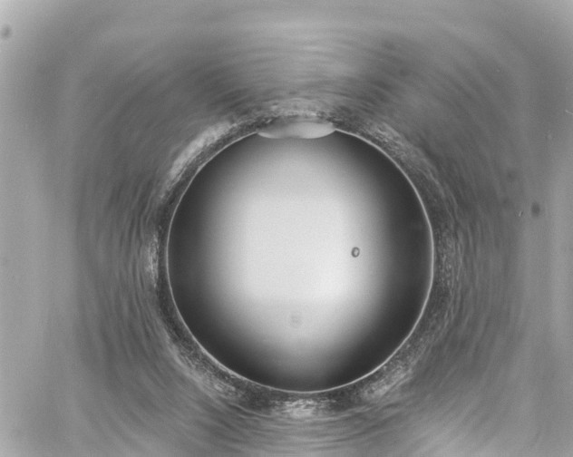 X0000060810064200511141517