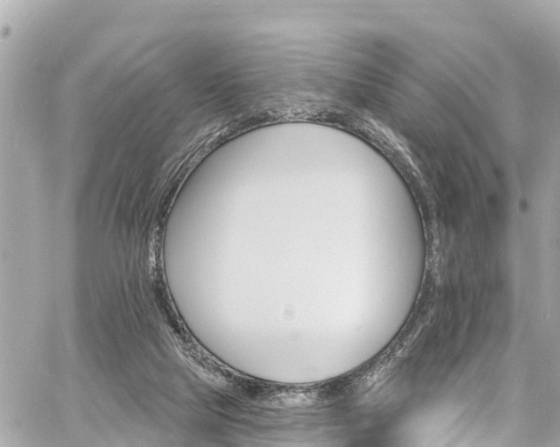 X0000060810065200511141517