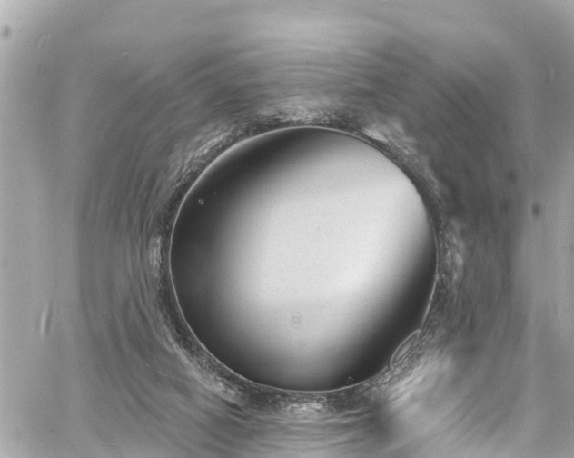 X0000060810066200511141517