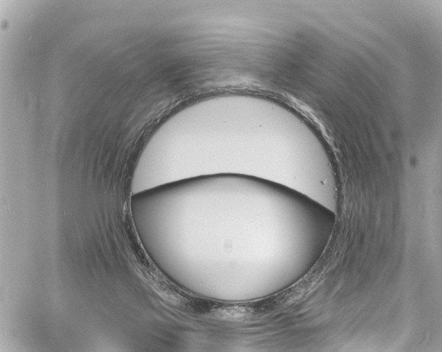 X0000060810069200511141517