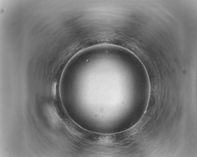 X0000060810070200511141517