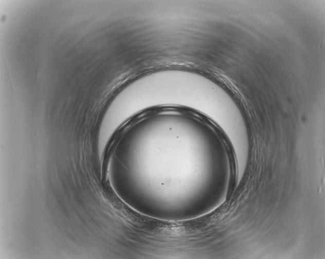 X0000060810071200511141517