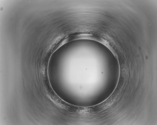 X0000060810072200511141517