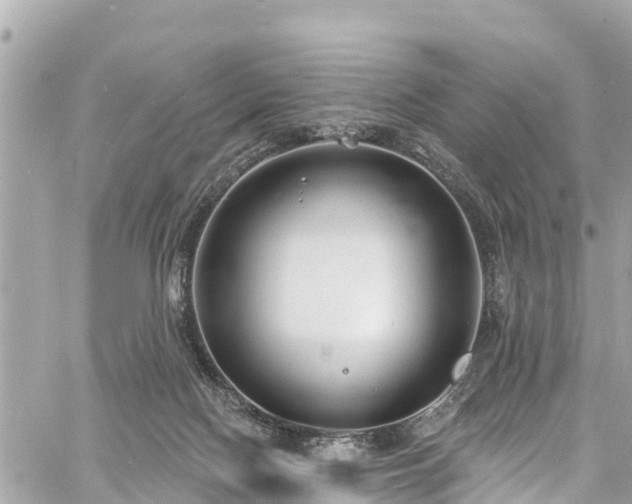 X0000060810074200511141517