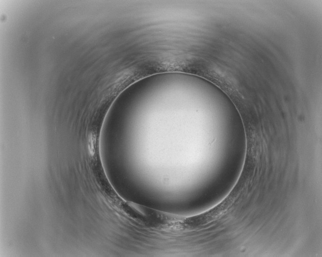 X0000060810075200511141517